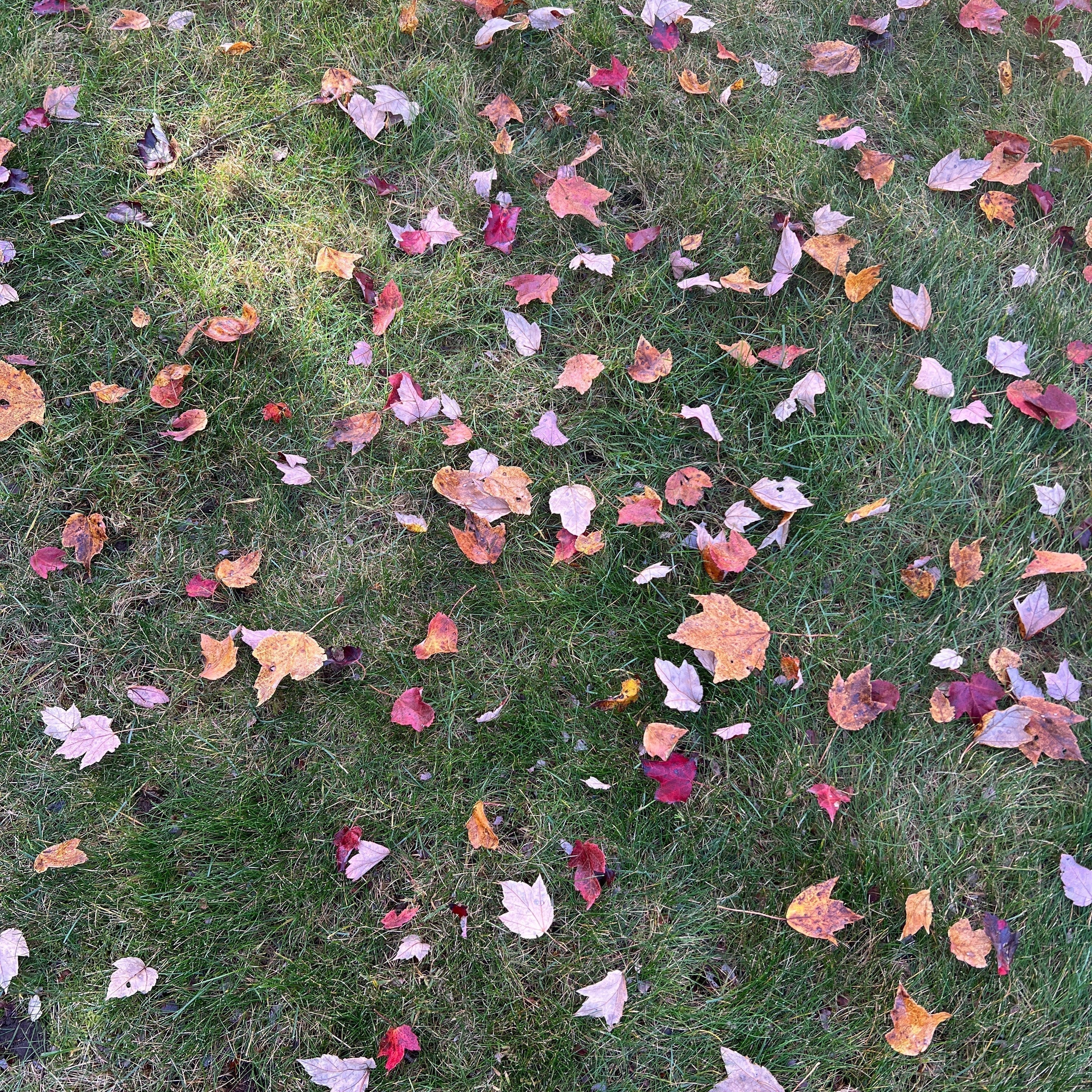 6 Fall Skincare Rituals for Radiant Skin & Calmer Moods