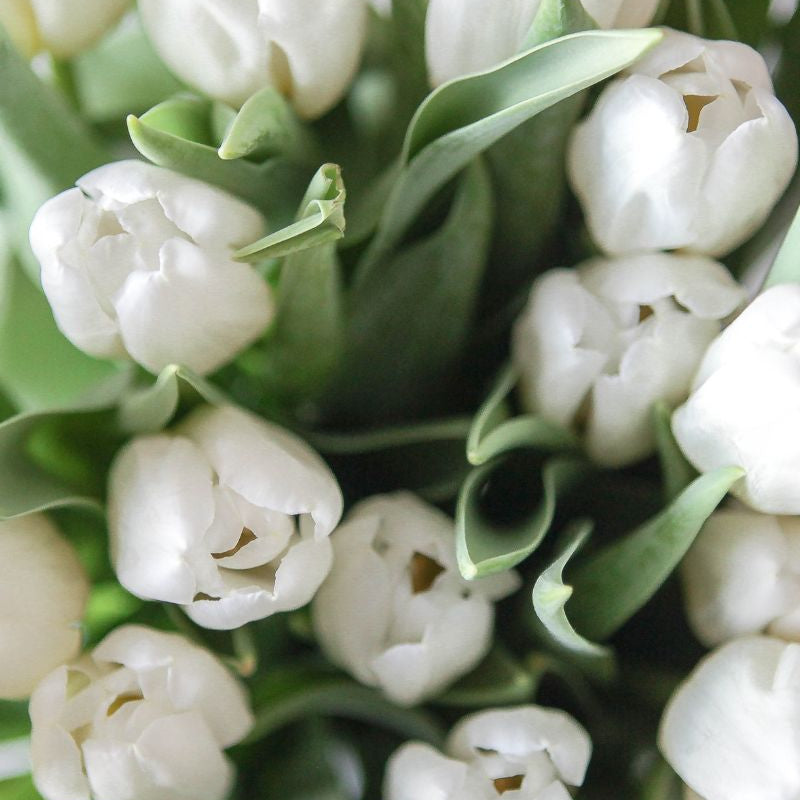 Bridal Party Gift Ideas that Shower Them with Self Care