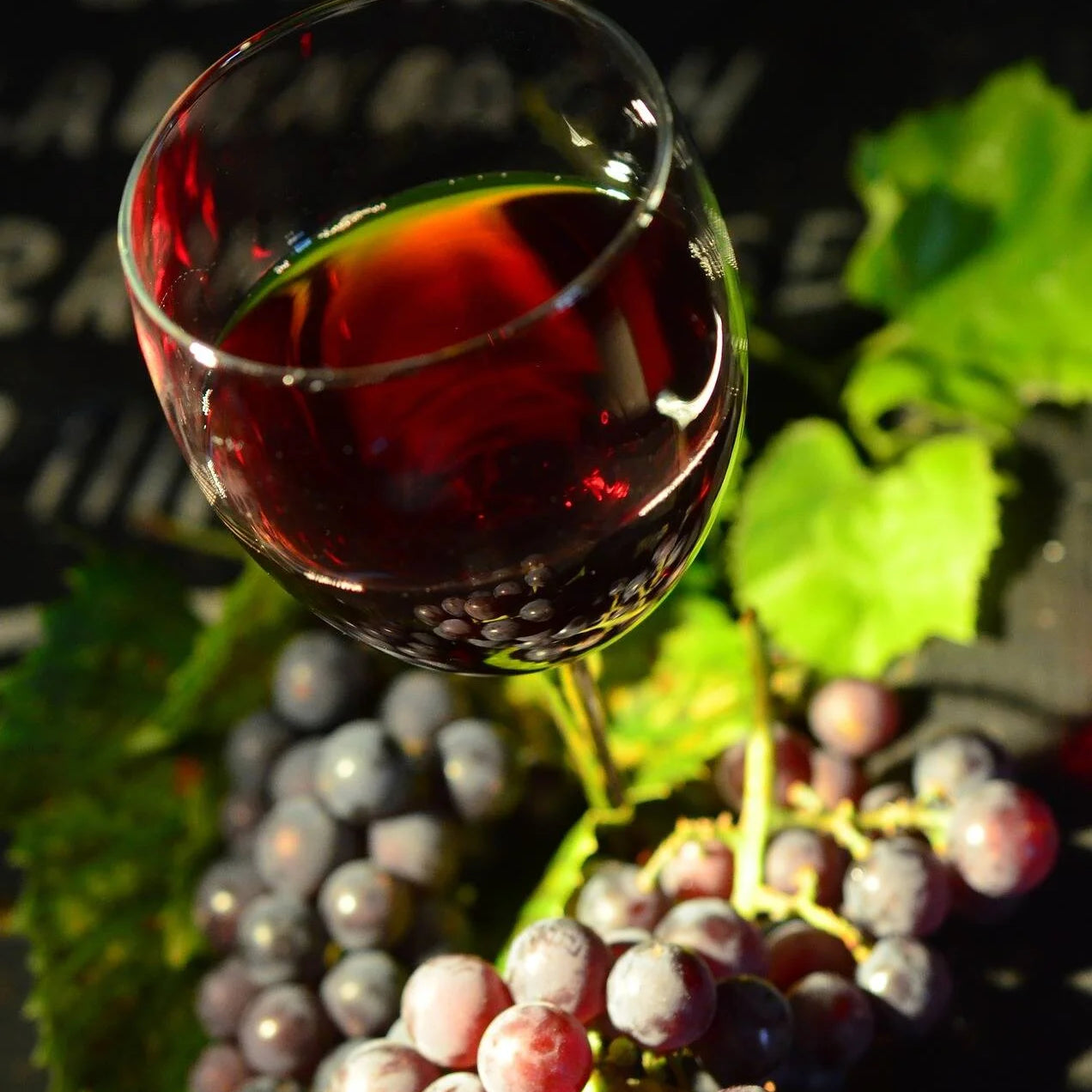 Unlocking the Skin Health & Beauty Benefits of Resveratrol