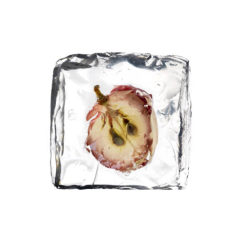 grape slice in ice cube