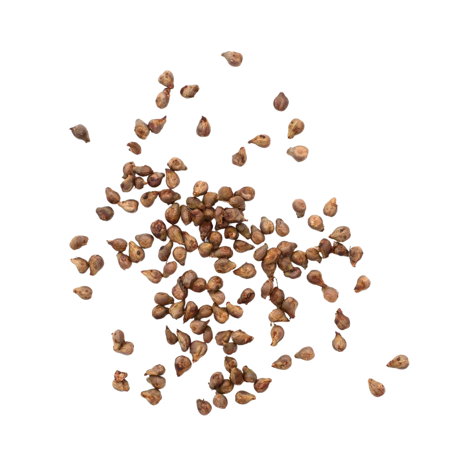 grape seeds