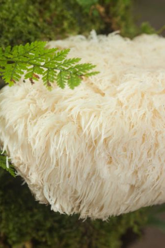 snow mushroom is a key ingredient in Vineyard Morning