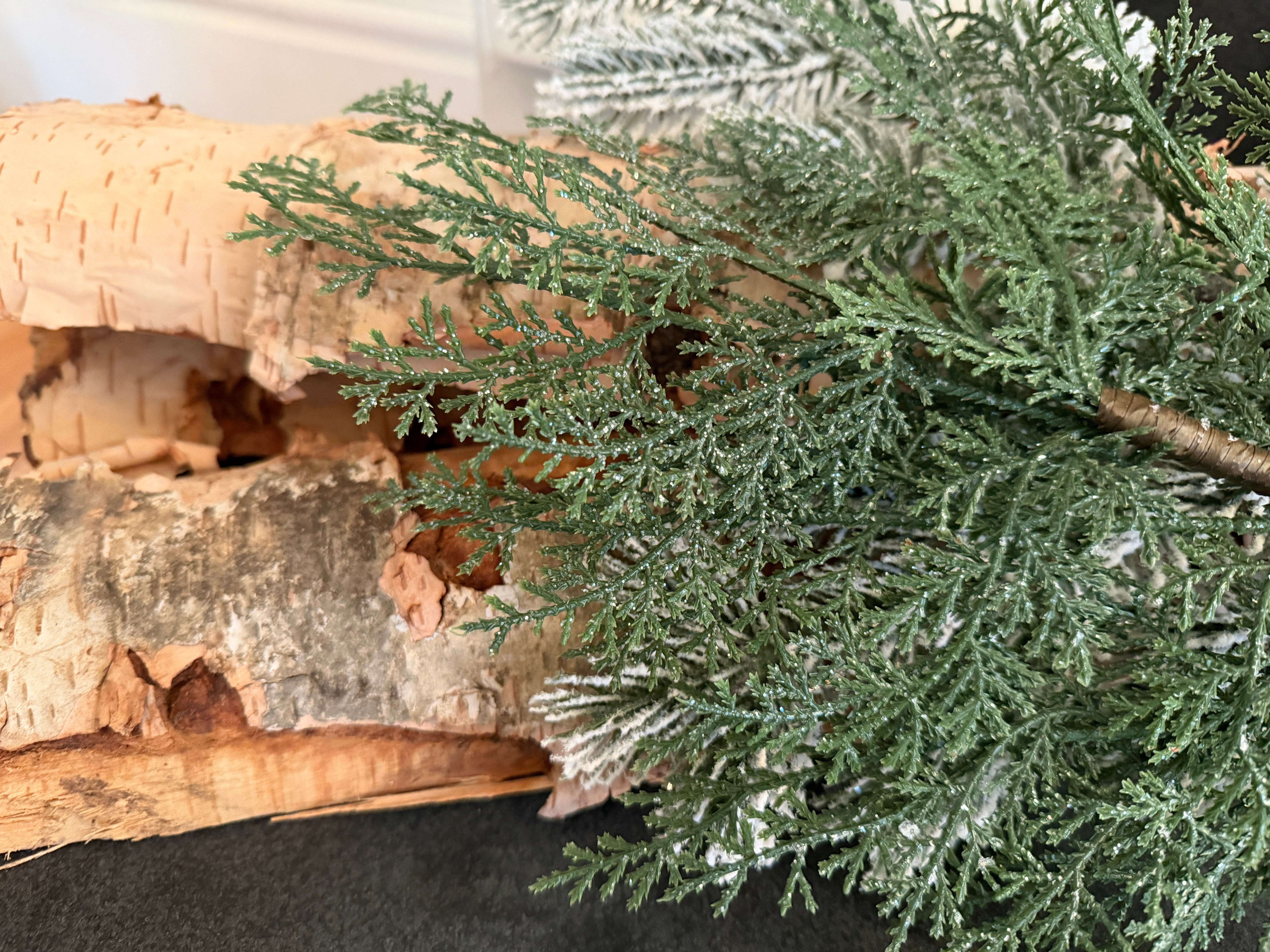 winter scene with white birch firewood and evergreen branch