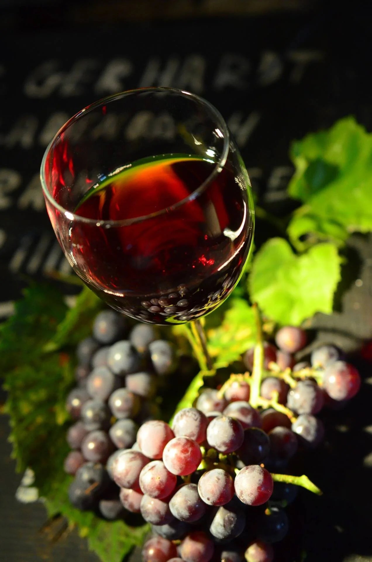 Unlocking the Skin Health & Beauty Benefits of Resveratrol